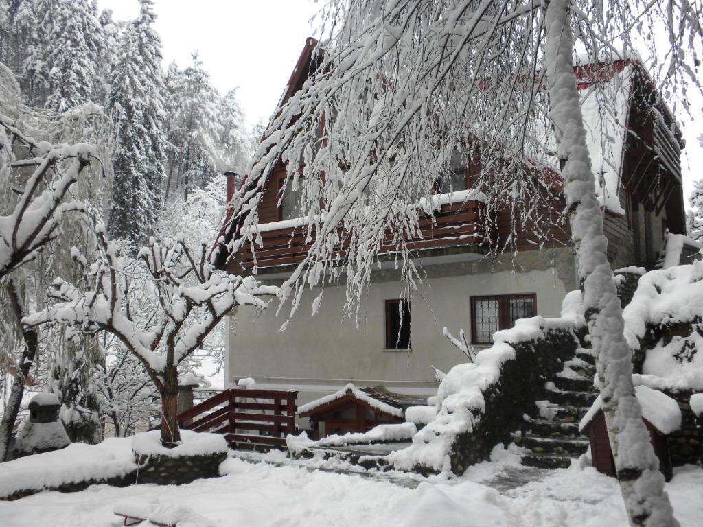 Hotel Rem'S Pension à Rîşnov Extérieur photo