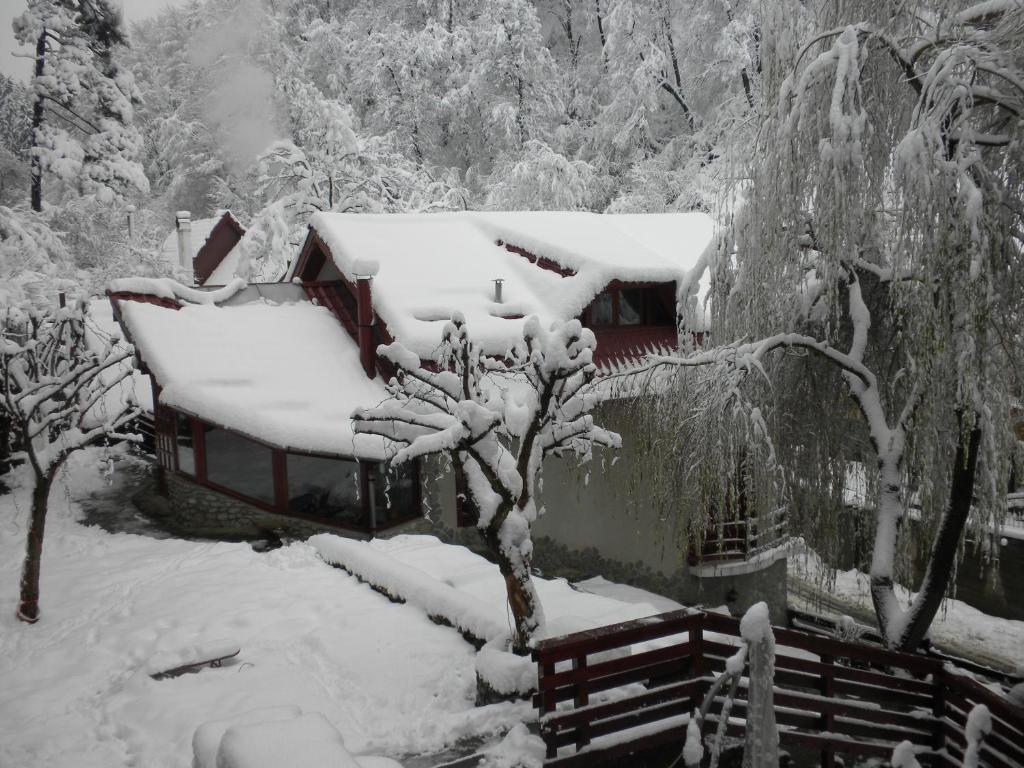 Hotel Rem'S Pension à Rîşnov Extérieur photo